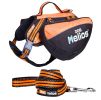 Helios Freestyle 3-in-1 Explorer Convertible Backpack, Harness and Leash